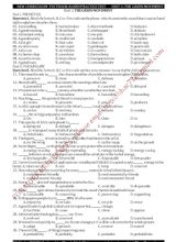 Bài tập bổ trợ môn Tiếng Anh Lớp 12 thí điểm - Unit 3 The green movement - Đỗ Bình